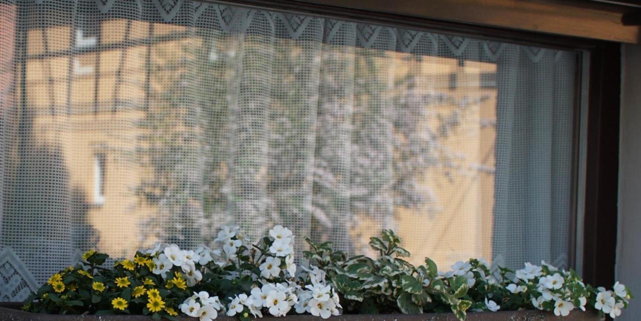 Ferienwohnung Liebeskind Hopfgarten  エクステリア 写真